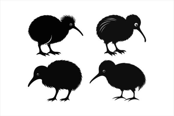 Kiwi Bird Silhouette Vector Bundle for Graphics and Print Materials Mockups